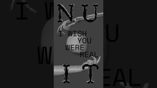 N U I T — I Wish You Were Real, elevator short