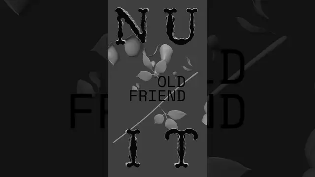 N U I T — Old Friend, elevator short